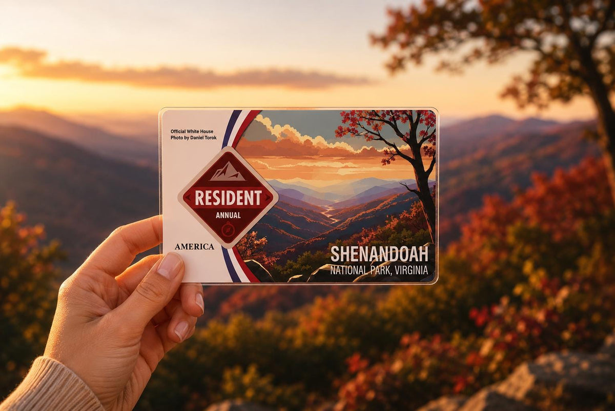 National Parks Pass Card Sleeve, Custom Your Own Parks Card Protector (Pass Not Included)